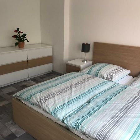 Apartman Havlickova カルロヴィ・ヴァリ エクステリア 写真