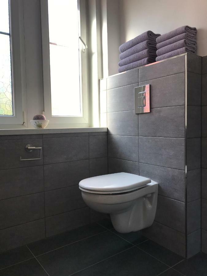 Apartman Havlickova カルロヴィ・ヴァリ エクステリア 写真