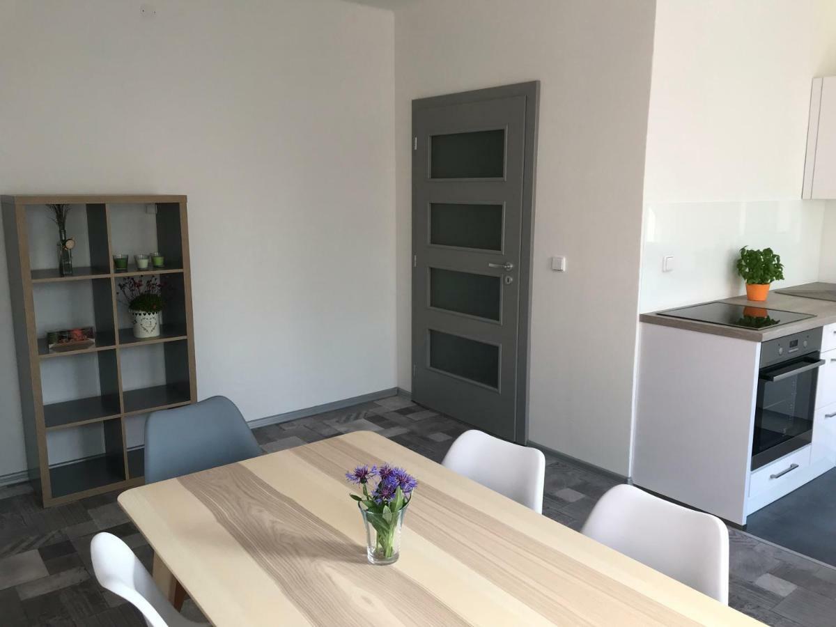 Apartman Havlickova カルロヴィ・ヴァリ エクステリア 写真