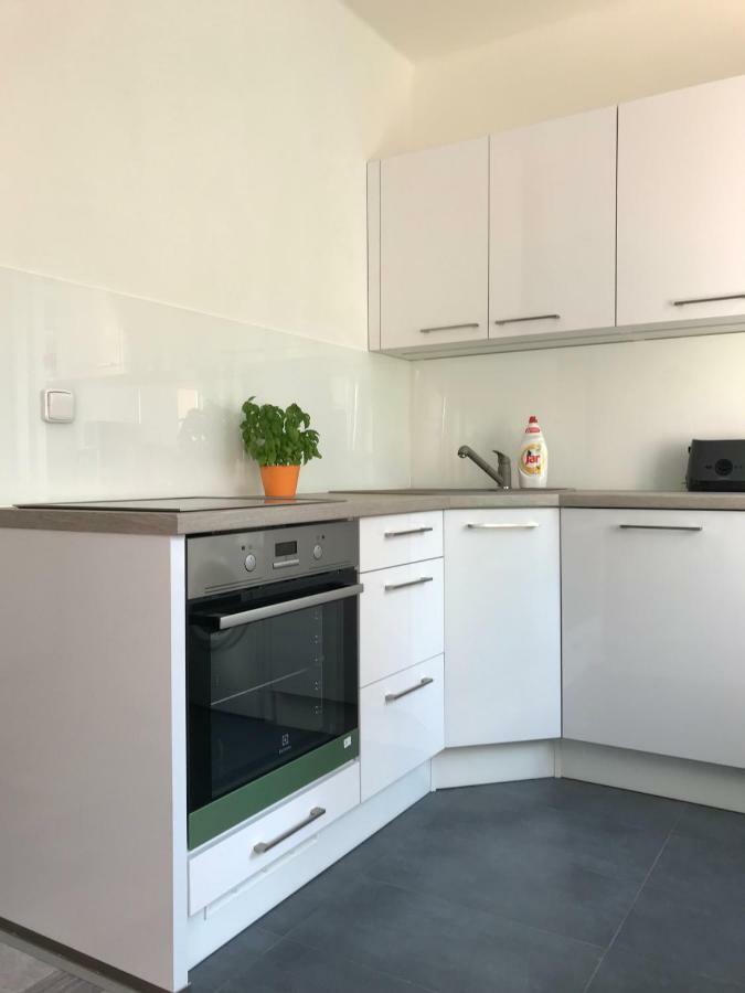 Apartman Havlickova カルロヴィ・ヴァリ エクステリア 写真