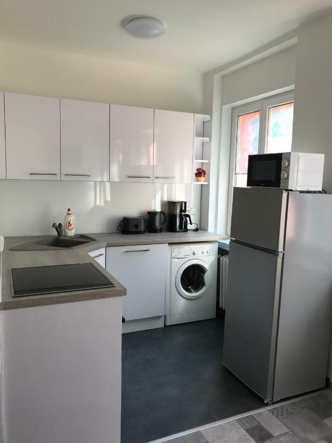 Apartman Havlickova カルロヴィ・ヴァリ エクステリア 写真